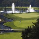 더플레이어스골프클럽 이미지