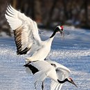 한국전력 경인건설처 이미지