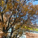 오산시 청학도서관 이미지