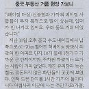 거품나라