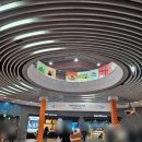 마린메디칼 | [여수 아쿠아플라넷] 마린라이프(벨루가) / 아쿠아포리스트 / 오션라이프(메인수조 공연)(feat. 쿠팡...