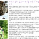 도새울마을 Daum카페