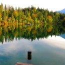 모든 날 이미지