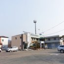 성산면사무소 버스정류장 Daum카페