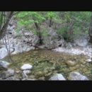 푸른솔리조트펜션 이미지