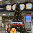 전주우리들병원 | 전북 전주 전북대병원 안과 안검내반 수술 후기