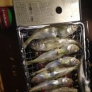 고초골 | 6월첫째주 용인고초골 신생캠장 다녀왔어요^^