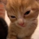 쿨 노래연습장 | [2025년 11월] 제주도 번쩍 부산 번쩍 대구 번쩍 홍길동