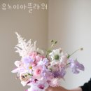 유노이아 이미지