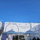 성지로 | 나가노마켓 SEOUL 방문 후기 성수팝업 성지로 정착한 나가노 상설매장 치이카와 굿즈 총정리