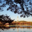 두류공원 이미지