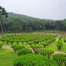 한울상조