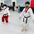 진도태권도장 이미지