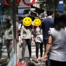 영창애견