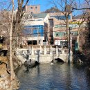 황지연못 가는길 이 이미지