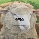 서창남순환로216번길1L | [인천송도 실내동물원 쥬벅스] 데이트코스로 딱! 귀여운 동물과 특별한 체험까지