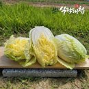 식탐 이미지