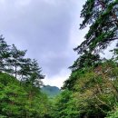 보네르공인중개사사무소 이미지