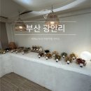 달그리고강 | 광안리 담금주 공방체험 아트모이지 원데이클래스 한달후기