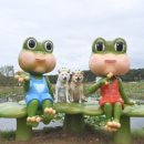 백천민박 이미지