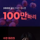 청춘세탁 네이버블로그