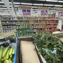 신용정육생고기 | 봄동 대신 제육볶음.. 안산 맛집 <신용 정육 생고기> 추천 후기