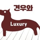 애니멀하우스 이미지