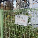 도화현대홈타운(201동 앞) | 임장기[11]_새로운 한강벨트 신축 입성해 볼까? (마포 도화 우성, 현대홈타운 1,2차)