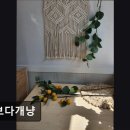 꽃보다개냥 네이버블로그