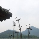 솟대 이미지