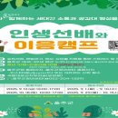 일산해수욕장(24233) 이미지