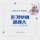 돈기부여 | 도치눈나 돈기부여 클래스 세시간전 부업 수익 후기
