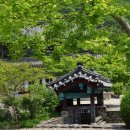 장흥군 보림사 Daum카페