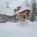 Northeast hit by blizzards, freezing cold, after record snow - 북동부 눈보라, 추위, 기록적인 눈 후에 치여 이미지