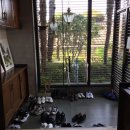 오아시타 이미지