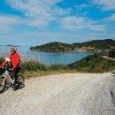 진도대교휴게소 이미지