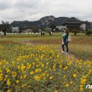 [뉴스1 PICK] '100년 금단의 땅' 송현동 부지 열린다 이미지
