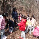 금병초병설유치원 이미지