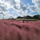 더 마을 핑크 이미지