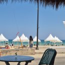 브리사 마리나 이미지