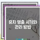 하루애드림치과의원 이미지