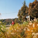 맷돌로만 이미지