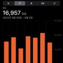 (주)일송개발 오션뷰호텔 코지 하버 | 호주 시드니/골드코스트 여행 준비 (날씨, 일정, 숙소, 렌트, 경비 등)