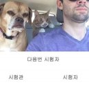 유식자동차 | [운전면허 도전기] 03. 도로주행 원트 합격기