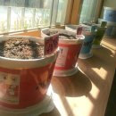 서울묵동초등학교 이미지