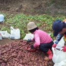 관우농장 이미지