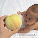 근화농장 이미지