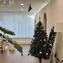 포미슈가링 | 부천 브라질리언왁싱 잘하는곳 포미슈가링 후기!