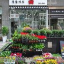 영플라워 이미지