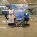 (주그린비앤디 | 빵란찡 뉴이어 서울행~@//&& (피카소에서 제프쿤스까지/애니 레보비츠전/카페101/마카롱/좀비커피)